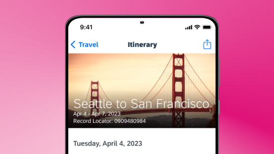 travel management