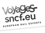 Voyages Logo