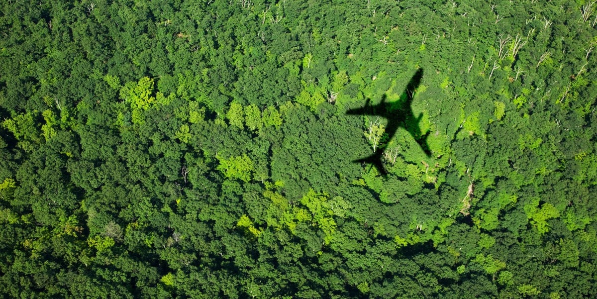 airplane shadow over a forest