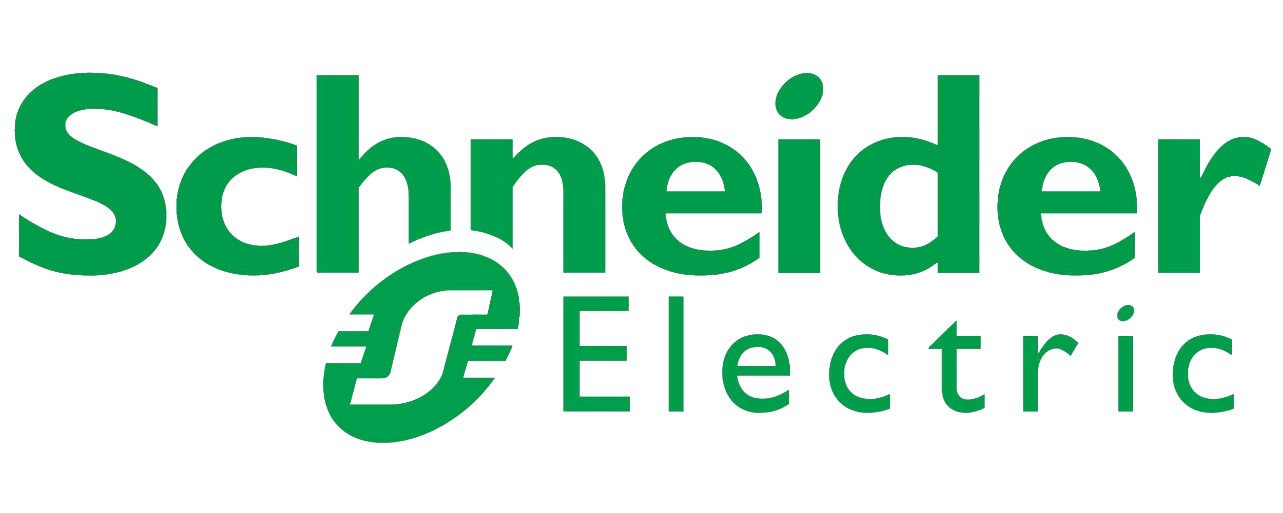 <span>Schneider Electric</span>
